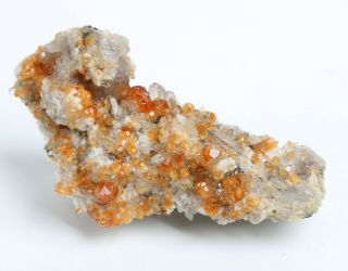 39g Natural Smoky Quartz GARNET on dolomite Mineral Specimen 4