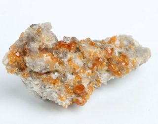 39g Natural Smoky Quartz GARNET on dolomite Mineral Specimen 5