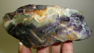 Dino: Purple & Green Fluorite Crystal Specimen Mexico 224 Grams