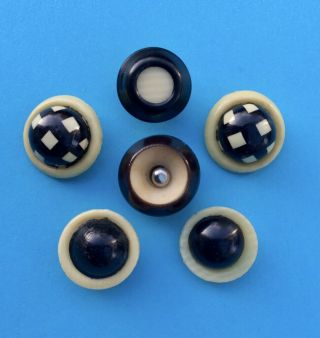 6 Vintage Art Deco Small Black & Cream Celluloid Buttons (12mm & 13mm)