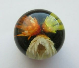 Unique Antique Vtg Early Plastic Lucite Button Paperweight Type W/ Flowers (ab)
