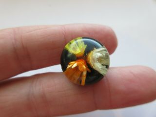 Unique Antique Vtg Early Plastic Lucite BUTTON Paperweight Type w/ Flowers (AB) 2