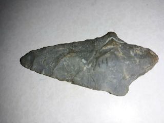 Authentic Indian Arrowhead Found In South Carolina