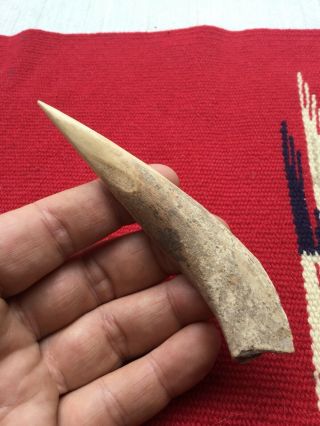 Indian Artifacts / Fine Polished Kentucky Awl / Authentic Arrowheads
