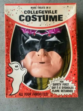 Vintage Superhero Halloween Costume The Bat Batman Knockoff Collegeville