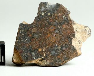 Meteorite Nwa 4022 - L3 Chondrite - Colorful Endcut 13.  1g