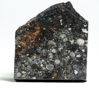 Meteorite Nwa 11344 - L3 - 4 (s3/w0 - 1) Chondrite Polished Slice 3.  57g