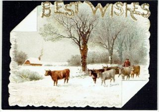 R Tuck Albert Bowers Artist Victorian Christmas Card Cows Cattle In Snow Shaped