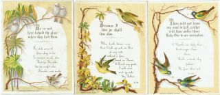 3 X Victorian Christmas Cards Birds Religious Text Campbell & Tudhope Glasgow