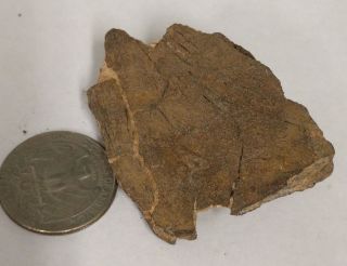 Cut 42 Gram Unclassified Nwa Meteorite (g7137)