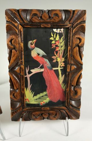 Pair VTG Mexican Folk Art Feathercraft red Bird Feather Picture Framed 9” x 6 