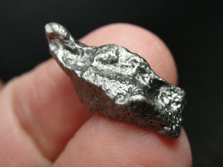 Imilchil/agoudal Iron Meteorite - Iml - 1819 - 6.  15g W/coa - Cleaned Specimen