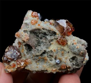 29g Natural Red Spessartine Garnet Fenda Quartz Crystal Rough Mineral Specimens