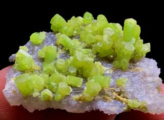 6g Beautifu Natural Green Pyromorphite Crystal Cluster Rare Mineral Specimens 2