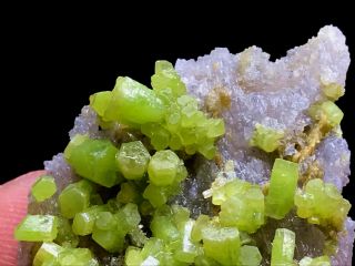 6g Beautifu Natural Green Pyromorphite Crystal Cluster Rare Mineral Specimens 3