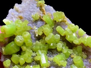 6g Beautifu Natural Green Pyromorphite Crystal Cluster Rare Mineral Specimens 4