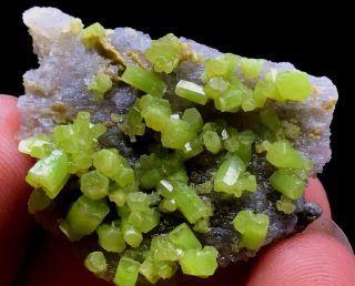 6g Beautifu Natural Green Pyromorphite Crystal Cluster Rare Mineral Specimens 5