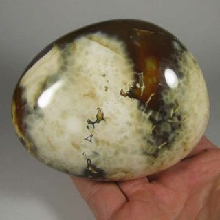 4.  2 " Carnelian Agate Polished Palm Stone - Madagascar - 1.  5 Lbs.