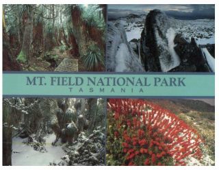 (a 1) Postcard - Australia - Tas - Mt Field National Park