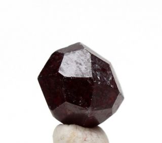 Alaskan Almandine Red Garnet Crystal Cluster Mineral Specimen Alaska W/ Id Card
