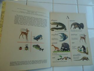 Animal Dictionary,  A Little Golden Book,  1960 (A ED;VINTAGE Children ' s) 4