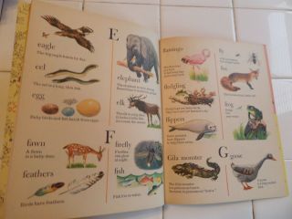 Animal Dictionary,  A Little Golden Book,  1960 (A ED;VINTAGE Children ' s) 5