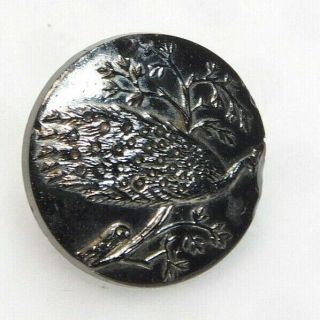 Antique BUTTON Victorian SILVER Luster Glass PEACOCK in a Tree ZZ 4