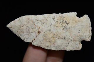 2 3/4 " Authentic Arrowhead Found By Brandon Devore Timewell Brown Co Il D5 49