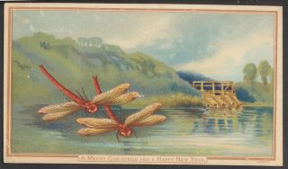 C6429 Victorian Goodall Xmas Card: Dragonflies