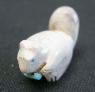 Zuni Carved Stone Squirfetish With Turquoise Eyes& Nut About 1 - 1/4 Inch Longs