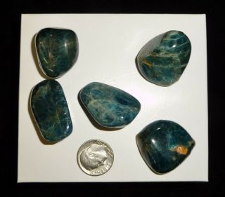 Dino: 5 Blue Apatite Crystal Tumbled Chakra Stones,  Madagascar - 74 Gr.