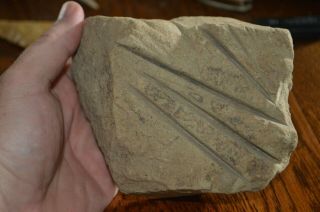 Outstanding Mississippian Sandstone Needle Abrader Macoupin Co,  Illinois 4.  75