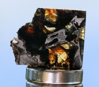 Admire Pallasite Meteorite,  1.  5 Grams,  Kansas