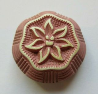 Lovely Antique Vtg Buffed Celluloid Button Pink & White Flower 1 - 1/8 " (c)