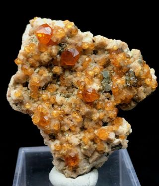 14g Natural Red Spessartine Garnet Fenda Quartz Crystal Rough Mineral Specimens