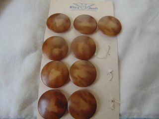 Vegetable Ivory Shank Buttons Brown
