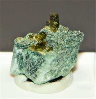 Vesuvianite Rare Mineral Miniature From Italy