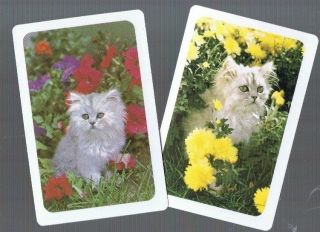 Playing Swap Cards 2 Vint Kittens Playing In The Flower Garden W27
