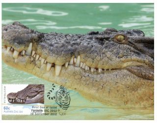 (ch 5) Australia Maxicard - Crocodile