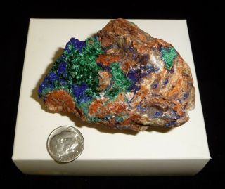 Dino: Lg.  Natural Azurite Malachite Crystal Specimen,  Mexico - 176 Gr.
