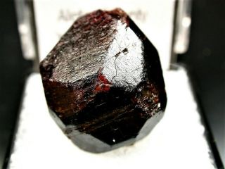 Minerals : Complete Dark Red Almandine Crystal From China