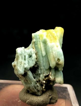 Natural Yellow Blue Plumbogummite Crystal Cluster Mineral Specimen
