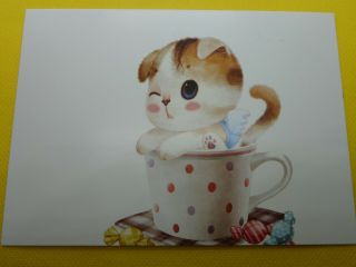 Postcard,  Cute Tiny Kitten,