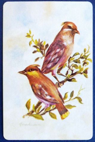 Vintage Swap Card.  Birds On Branch.  Cedar Waxwing.  Hookman Art.  Arrco.