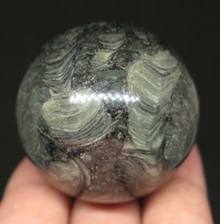 40mm 3.  3oz Natural Worm Fossil With Hematite Crystal Sphere Ball