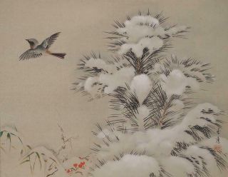 1607 Japanese Hanging Scroll: Pine Tree In The Snow