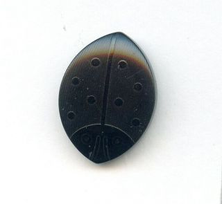 Med Size Black Vegetable Ivory Realistic Beetle Button - - 1 1/16 " X 3/4 "