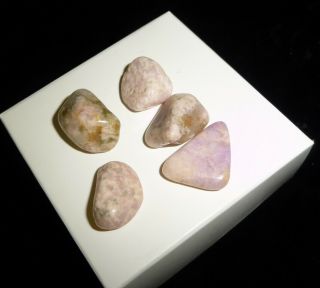 Dino: 5 Prairie Tanzanite Crystal Tumbled Stones,  Wyoming - 15 gr. 3