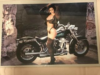 1990’s Rare Harley Davidson Softail Hot Girl Poster 33 X 22