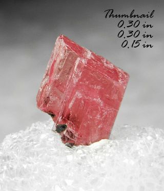 Rhodochrosite Sweet Home Mine Colorado Minerals Crystals Gem - Thn